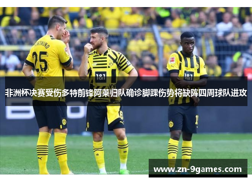 非洲杯决赛受伤多特前锋阿莱归队确诊脚踝伤势将缺阵四周球队进攻